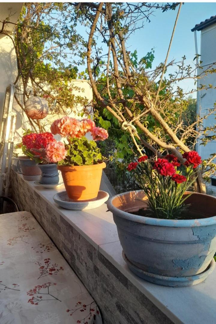 Cozy Maisonette In Pefkochori Chalkidiki 외부 사진